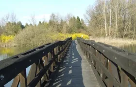 ARBORÉTUM program